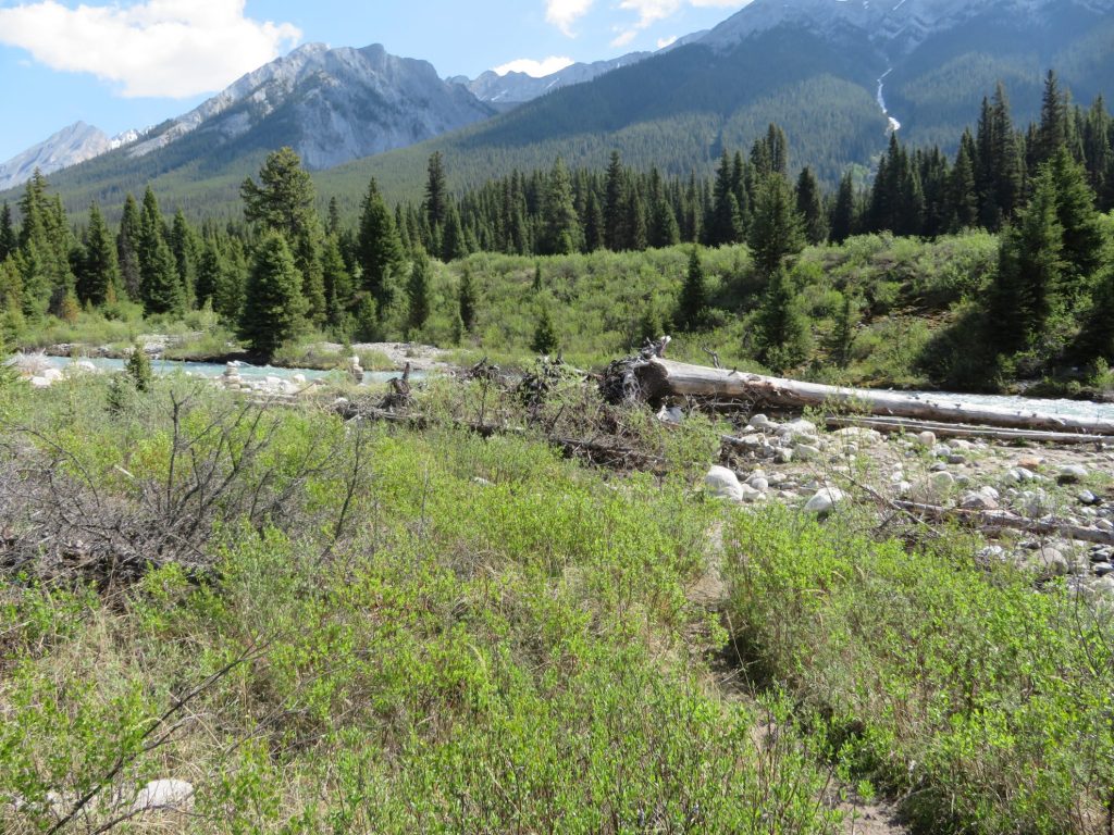 Hikes in Jasper en Banff: Johnston Canyon en de Ink Pots 3