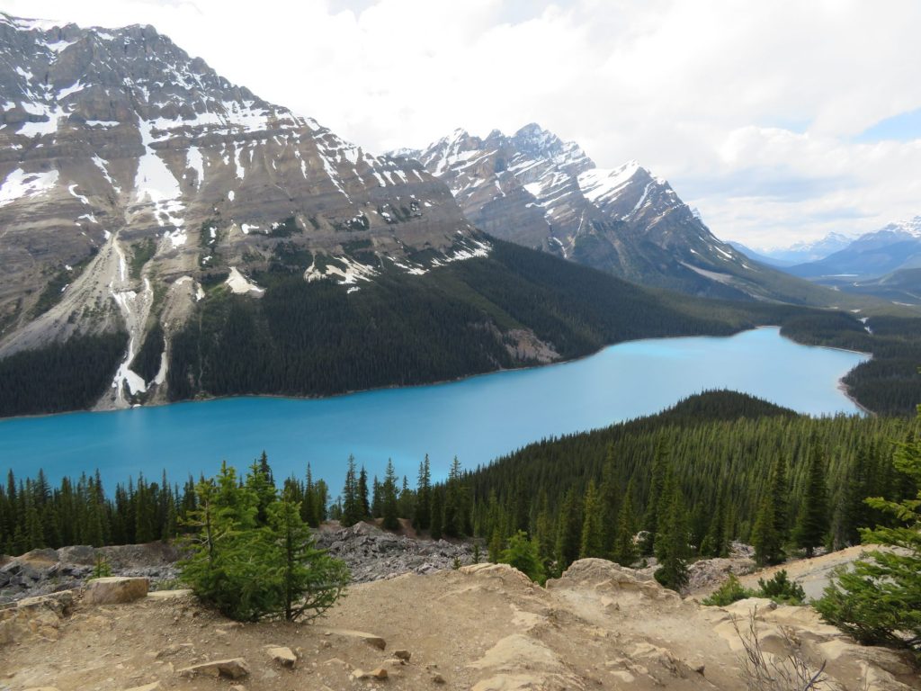 Route Camperreis West-Canada | Peyto Lake | Banff National Park | Icefields Parkway
