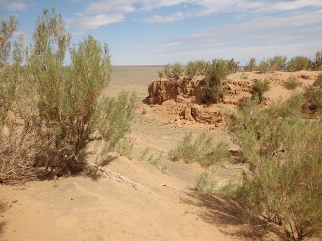 Zandduinen bij Saikhan Ovoo | Gobi woestijn