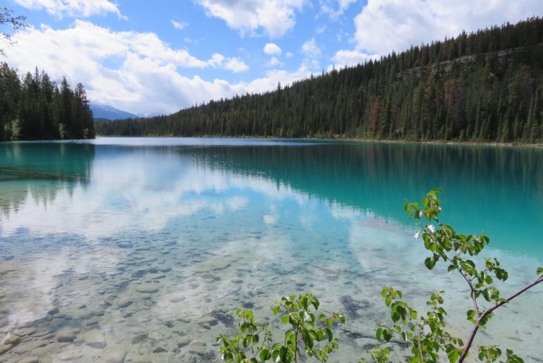 Hikes in Jasper en Banff: Valley of the five lakes | first lake