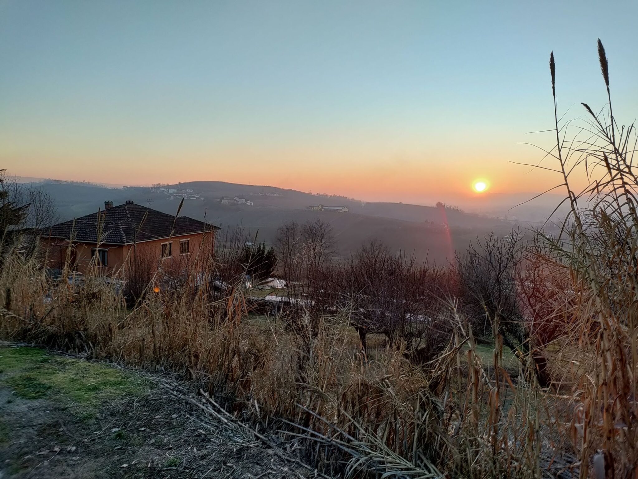 Piemonte | Costigliole d'Asti | wijngaarden | zonsondergang