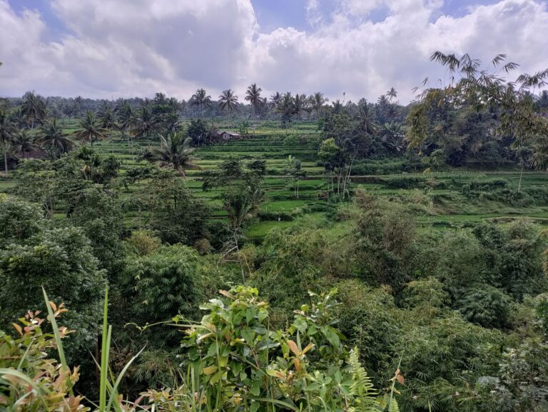Tetebatu | Lombok | Indonesië