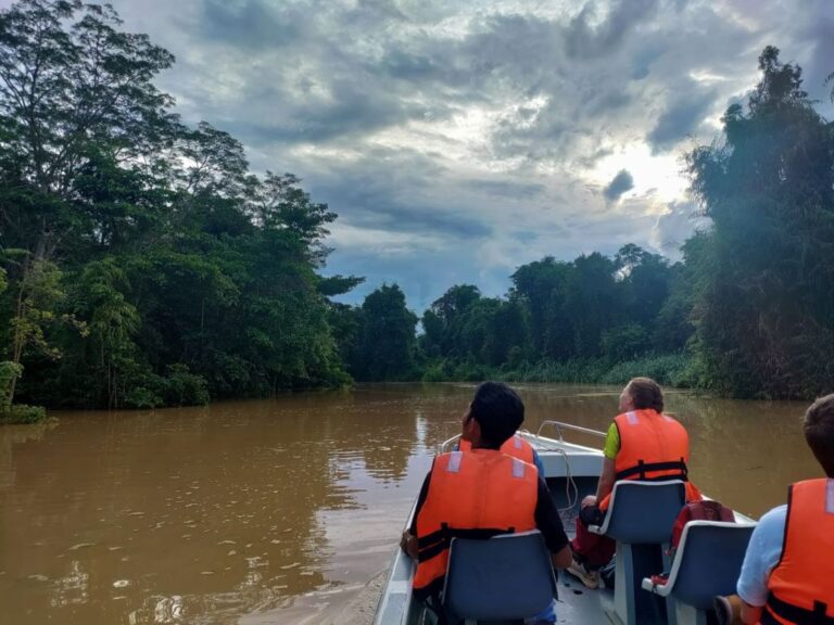 Kinabatangan Rivier Tip | Avontuurlijk jungleverblijf bij Tungog Rainforest Eco Camp (TREC)