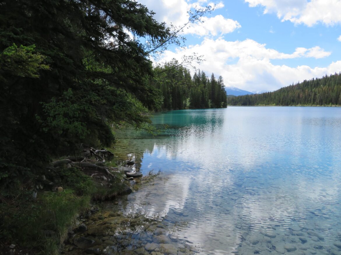 5 Uitdagende hikes in Jasper en Banff National Parks