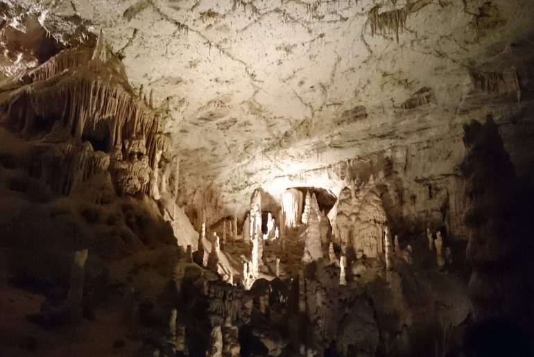 Dagrtips vanuit Kobarid | Postojna Caves