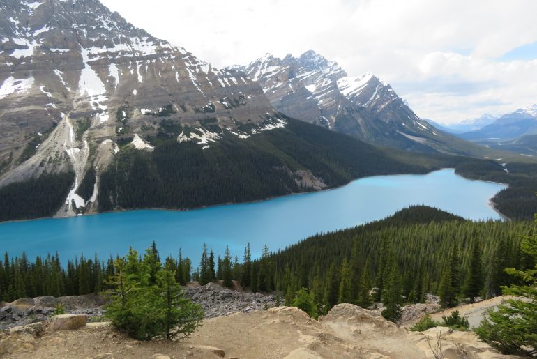 Peyto Lake | Banff National Park | Icefields Parkway