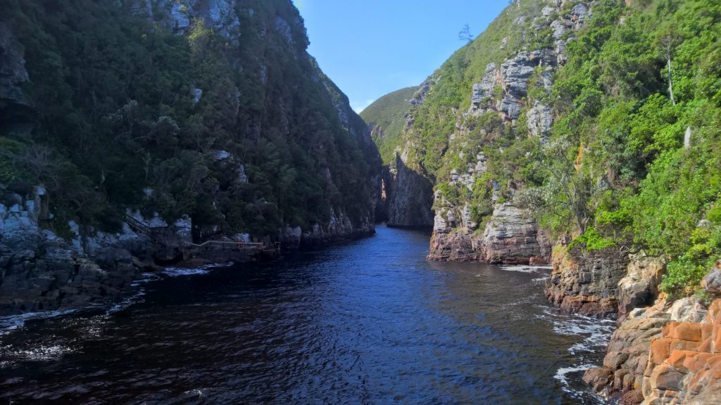Tsitsikamma National Park | Garden Route Highlights