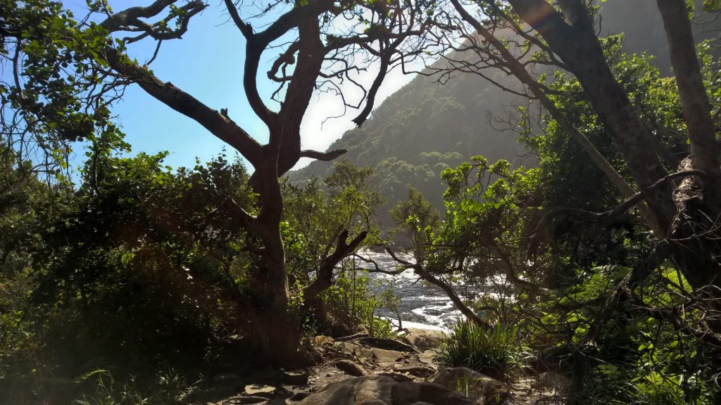 Tsitsikamma National Park | Garden Route Highlights