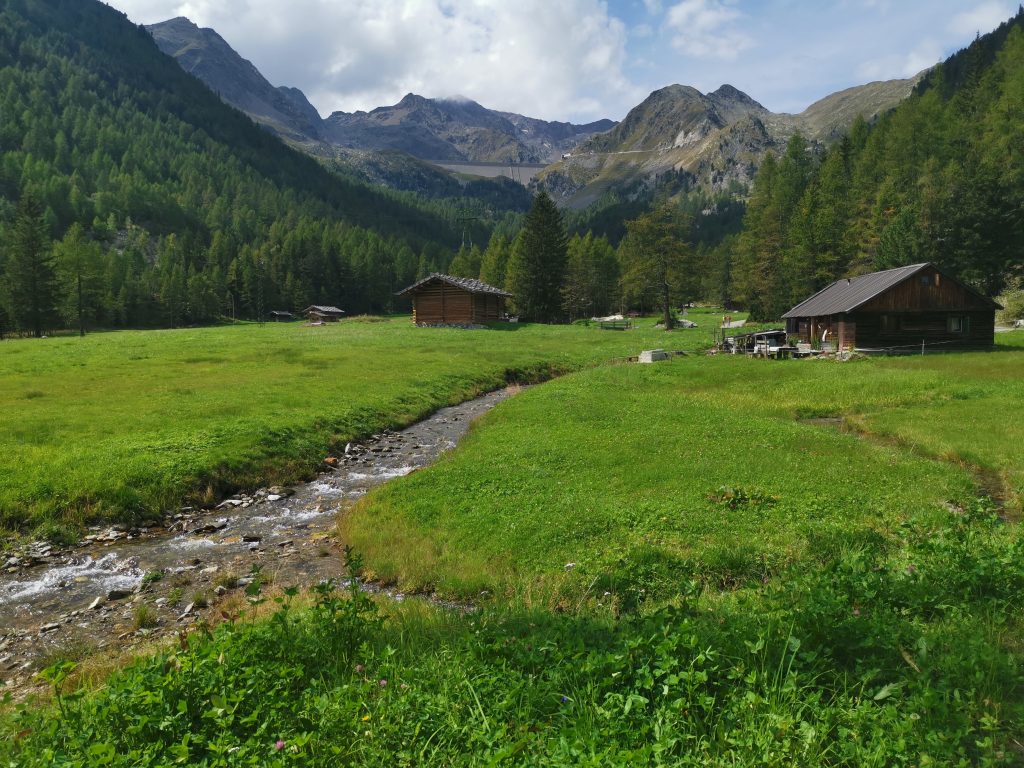 Ultental | Val d'Ultimo | Schwemmalm | Wandelen in Zuid Tirol