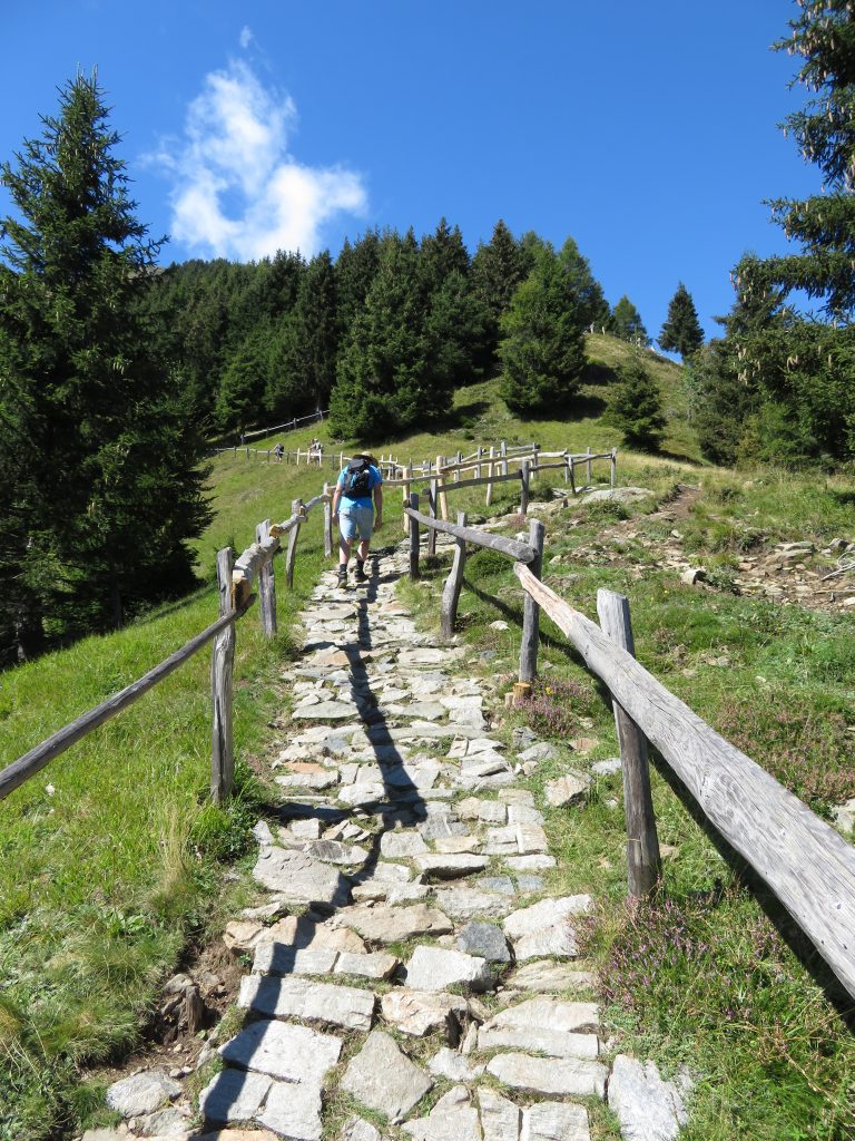 Wandelroutes in Meraner Land | Dorf Tirol | Mutspitz | Hochmuth