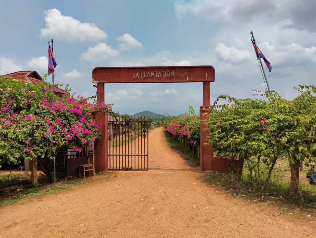 La Plantation | Peperplantage | Kampot peper