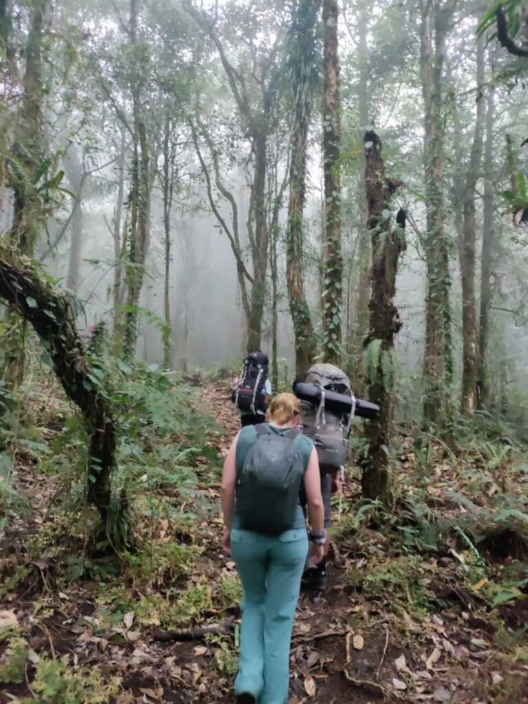 Sangkareang Trekking | Rinjani 2nd Summit | jungle trekking Indonesië