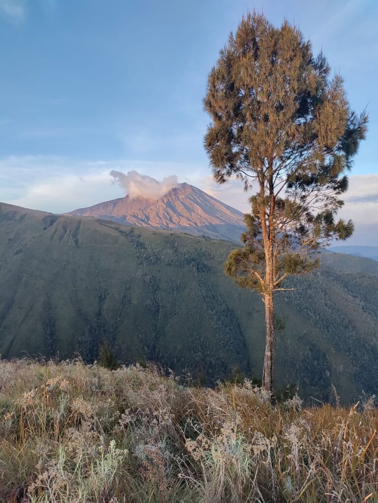 Mount Rinjani gezien vanaf de kampeerplek op de Sangkareang