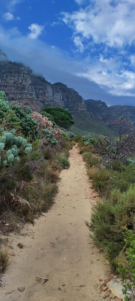 Spectaculaire wandelroutes in Kaapstad: Pipe Track Trail view