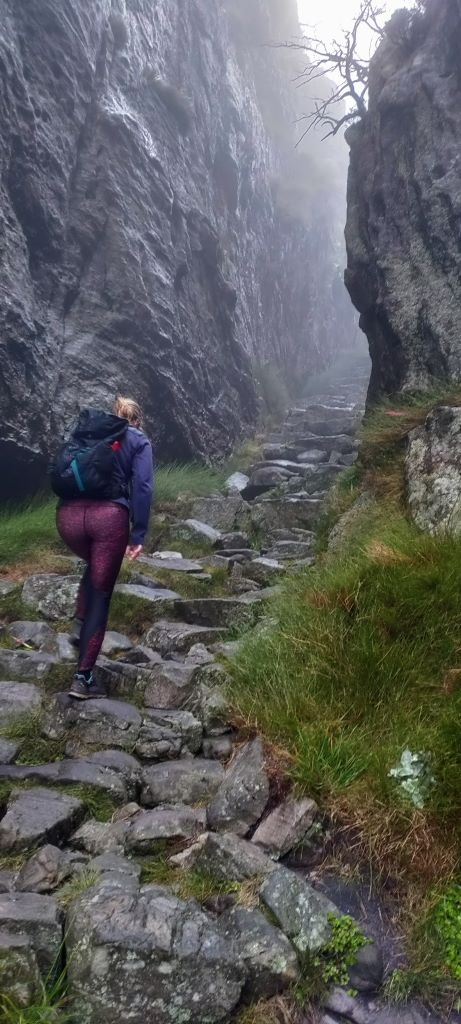 De beste hikes in Kaapstad: Platteklip Gorge naar de top van de Tafelberg