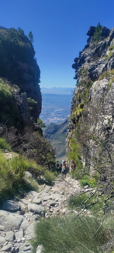 De beste hikes in Kaapstad: Platteklip Gorge naar de top van de Tafelberg