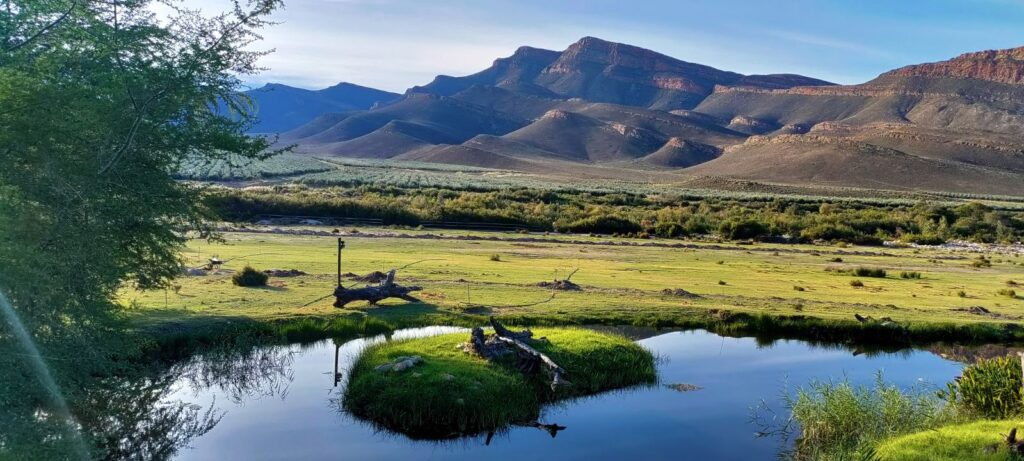 Mount Ceder is een groene oase in Cederberg