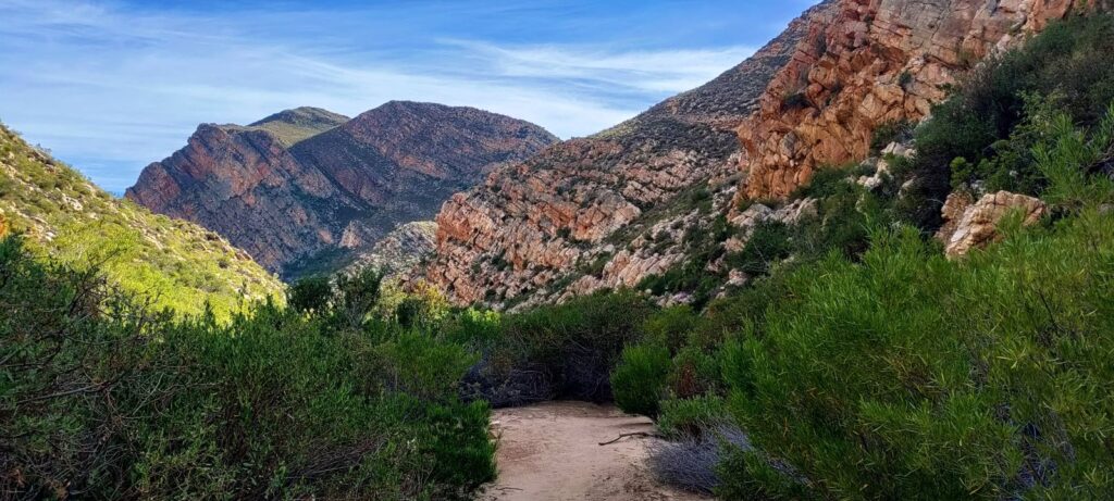 Wandelen naar de Rock Pool en waterval bij Mount Ceder